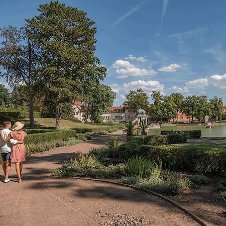 Traumhafte Auszeit Lejlighed Bad Lauchstädt Eksteriør billede
